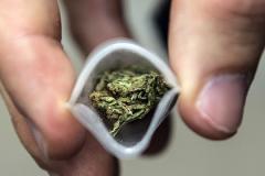 Из незаконного оборота изъята марихуана коаксил наркотики